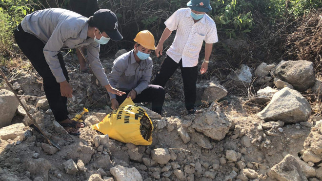 Trăn gấm "khủng" dài 4m bất ngờ xuất hiện trong khuôn viên trường học - 2