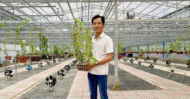 Cơ duyên bất ngờ của ông chủ vườn lan Tuấn Đoàn ở Bình Dương