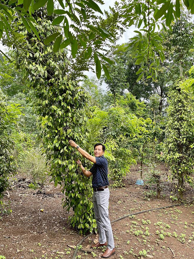 Cơ duyên bất ngờ của ông chủ vườn lan Tuấn Đoàn ở Bình Dương - 5