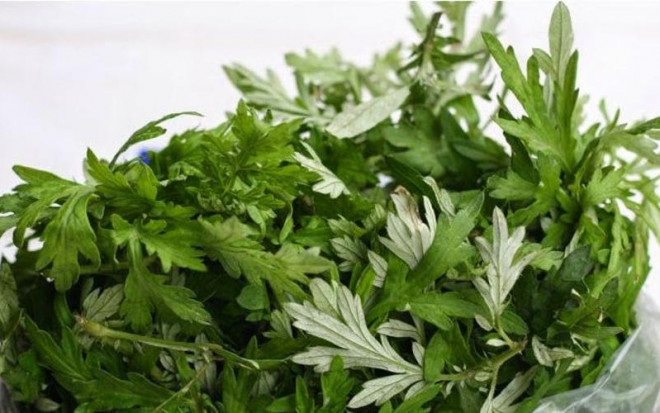 Những cách sử dụng rau ngải cứu kỵ với rau gì mà bạn chưa biết