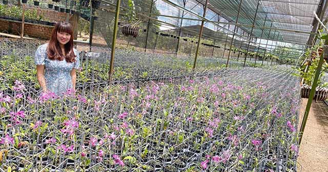 Hành trình theo đuổi loài hoa kiêu kỳ của nghệ nhân Võ Thị Lương 