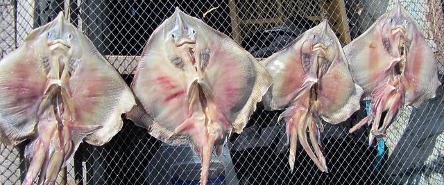 Những món ăn kì lạ của xứ sở kim chi - 3