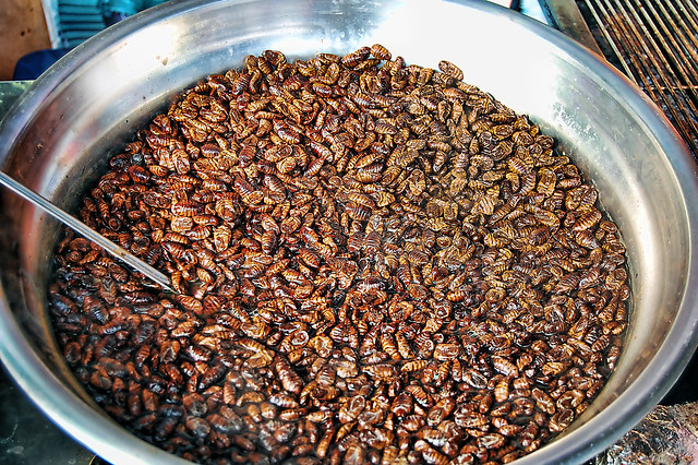 Những món ăn kì lạ của xứ sở kim chi - 4