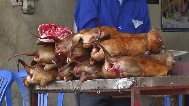 Những món ăn kì lạ của xứ sở kim chi - 9