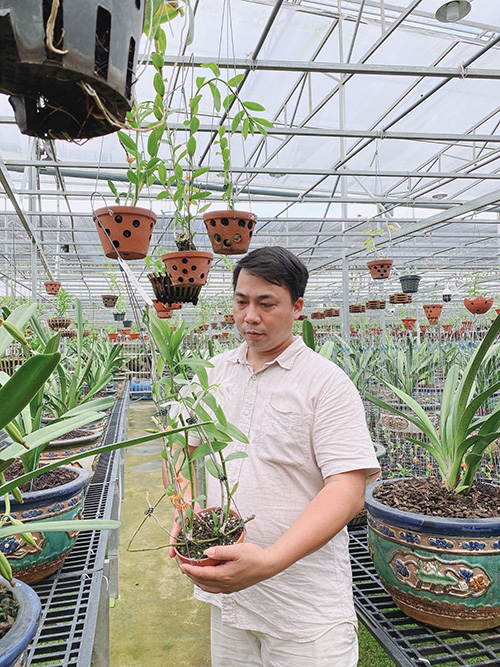 Nghệ nhân Quản Mạnh Dũng chia sẻ bí quyết chăm lan tốt cho người mới - 3