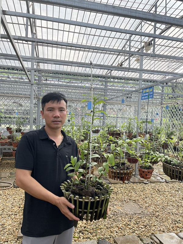 Ông chủ vườn lan Trương Phương Thuần - đam mê cần kiên trì và học hỏi - 1