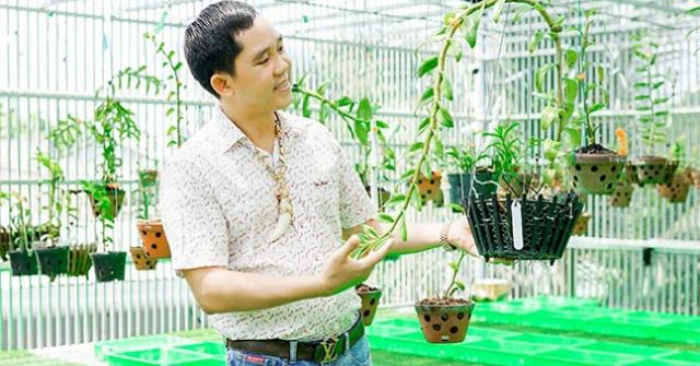 Nghệ nhân Xuân Hùng tiết lộ bí quyết chơi lan cho người mới