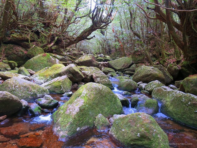 5 địa điểm du lịch tuyệt đẹp được lấy cảm hứng từ những bộ phim Ghibli - 14