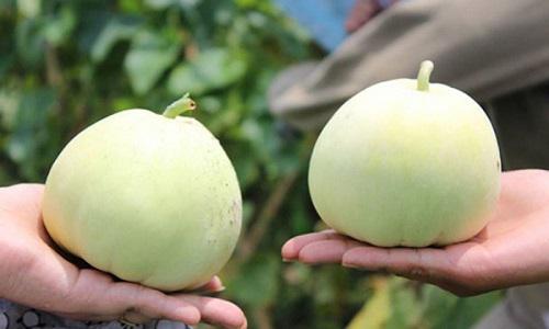 Ăn dưa lê nếu biết 3 điều này sẽ cực tốt cho sức khỏe, bạn nhất định phải biết để tránh ngộ độc - 6