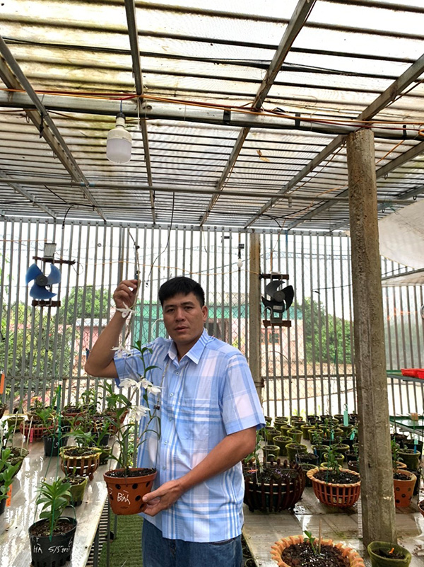 Nghệ nhân Nguyễn Thành Chuyên “tiết lộ” bí quyết thành công với hoa lan - 1