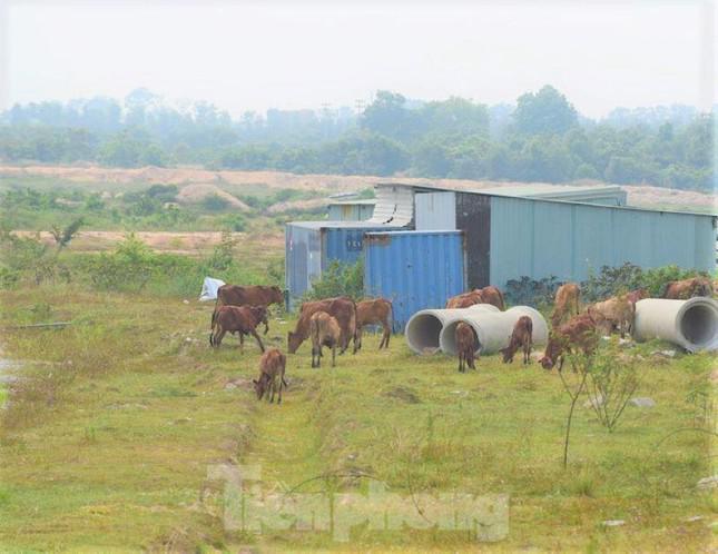 Ban Thường vụ Tỉnh ủy Bình Dương nhận lỗi trước Đảng và Nhân dân - 2