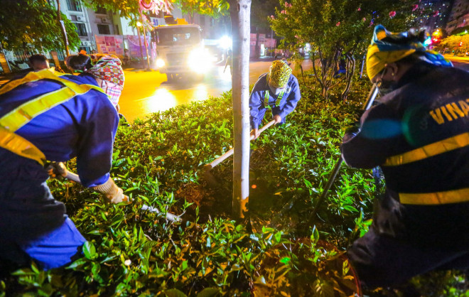 Hà Nội di dời hàng cây phong lá đỏ trong đêm - 8