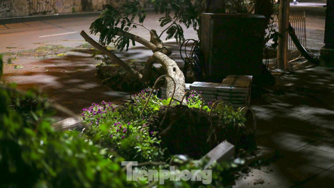 Xuyên đêm thu dọn hàng loạt cây đổ khắp phố phường Hà Nội sau mưa giông - 2