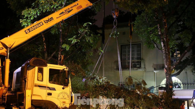 Xuyên đêm thu dọn hàng loạt cây đổ khắp phố phường Hà Nội sau mưa giông - 10