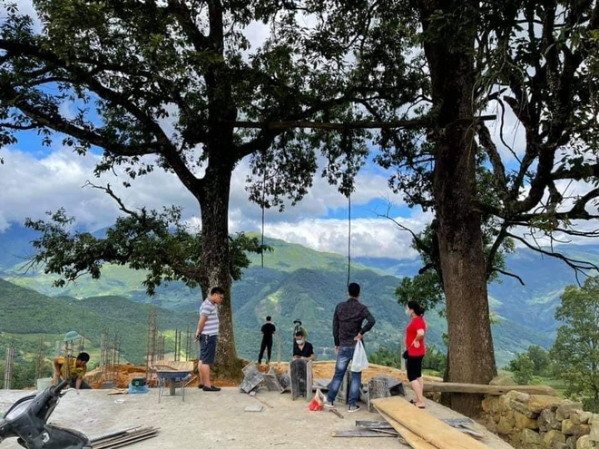 “Gai bê tông” cắm dày đặc quanh hai gốc cây cổ thụ nổi tiếng ở Y Tý - 3