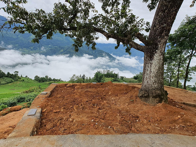 “Gai bê tông” cắm dày đặc quanh hai gốc cây cổ thụ nổi tiếng ở Y Tý - 4