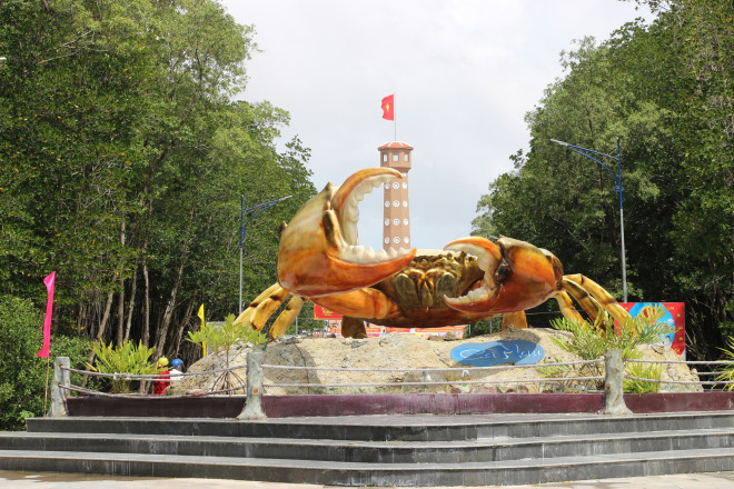 Trải nghiệm thú vị ở rừng ngập mặn lớn nhất Việt Nam - 3