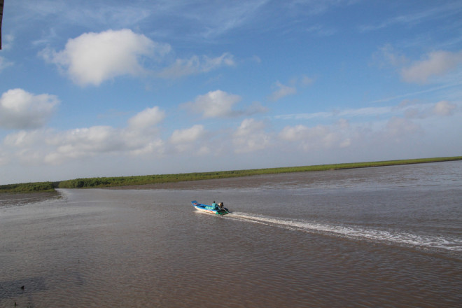 Trải nghiệm thú vị ở rừng ngập mặn lớn nhất Việt Nam - 9