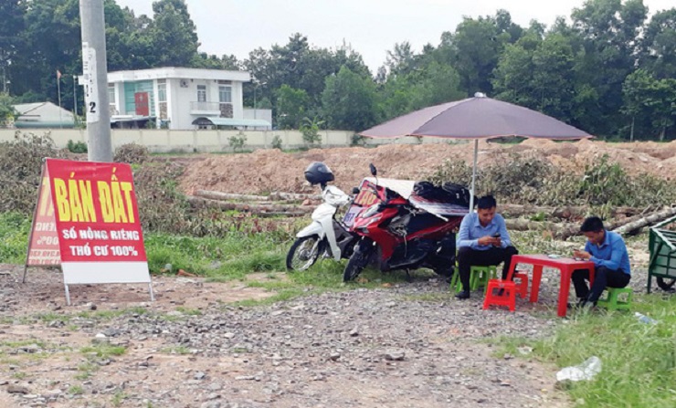 Đất ở nông thôn tăng giá phi mã: Nhà đầu tư và môi giới ùn ùn kéo về, người dân ở quê không mua nổi đất - 4