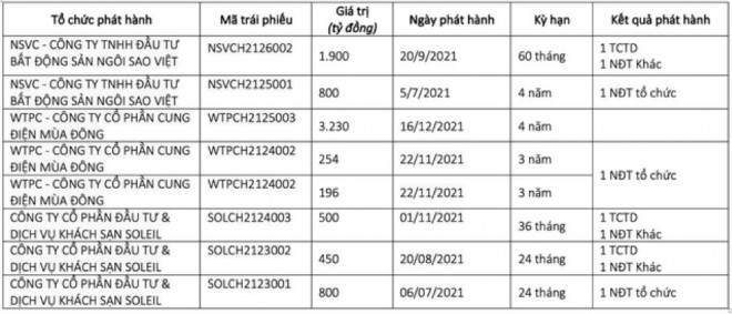 Những ngân hàng bí ẩn tham gia mua trái phiếu Tân Hoàng Minh - 1