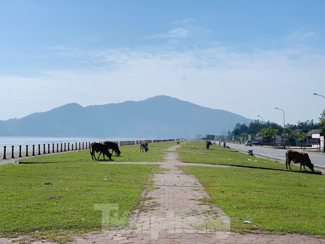 Lạnh người trước cảnh rác &#39;bủa vây&#39; bờ biển Hà Tĩnh - 9