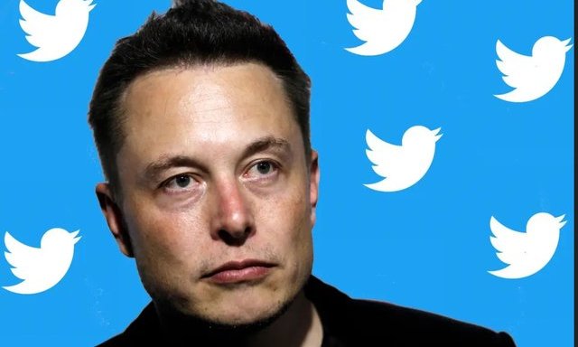 Elon Musk trở thành cổ đông lớn nhất của Twitter - 1