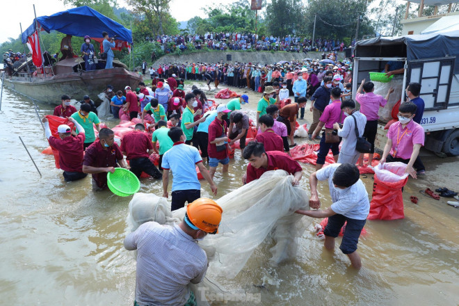 Phóng sinh 12 tấn cá xuống sông Lam - 8