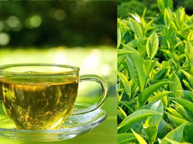 Uống trà xanh vào 4 thời điểm này tốt hơn thuốc bổ, giảm nguy cơ mắc tiểu đường, tim mạch và ung thư