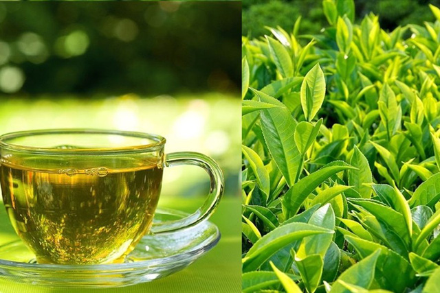 Uống trà xanh vào 4 thời điểm này tốt hơn thuốc bổ, giảm nguy cơ mắc tiểu đường, tim mạch và ung thư - 1
