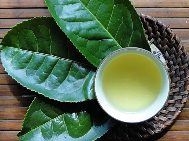 Uống trà xanh vào 4 thời điểm này tốt hơn thuốc bổ, giảm nguy cơ mắc tiểu đường, tim mạch và ung thư - 2