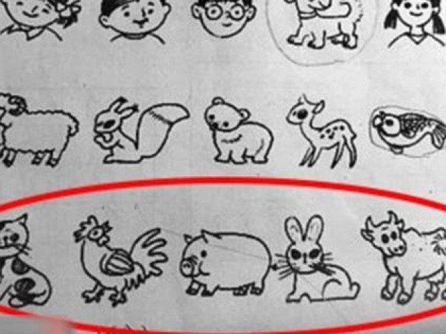 Câu hỏi lớp 1: ”Con nào khác biệt Mèo - Gà - Lợn - Thỏ - Trâu?”, cô giáo đưa ra 1 đáp án cùng lời giải thích gây choáng váng