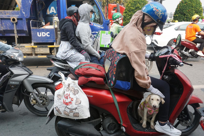 TP HCM: Kẹt xe tại bến xe, tuyến đường cửa ngõ ngày đầu nghỉ Lễ Giỗ Tổ Hùng Vương - 4