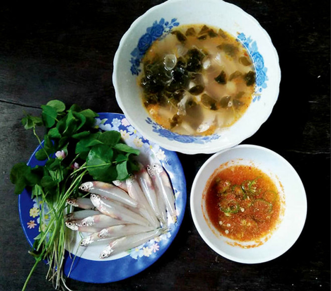 Các F0 cần vitamin C thì loài cây dại này vừa là rau sạch vừa nấu được nhiều món canh lẩu ngon miệng, nhanh hồi phục - 2