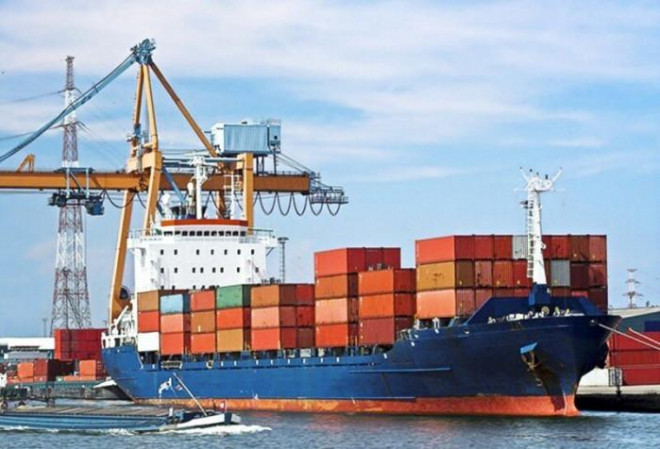 Hàng chục container điều bị lừa xuất khẩu sang Italia giờ ra sao? - 1