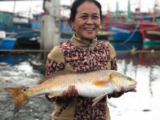 Việt Nam có loài cá miệng rộng, bắt được 1 con đủ ăn cả đời