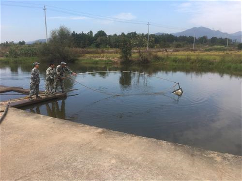 Bi kịch của người đàn ông ngồi tù oan vì ngoại tình: Thi thể nổi trên hồ - 1