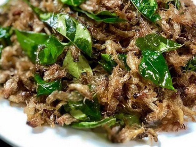 Đặc sản 3 miền - Các món ăn chỉ nghe thôi đã thèm từ con vật vờ - đặc sản trứ danh sông Hồng giá hàng triệu đ/kg