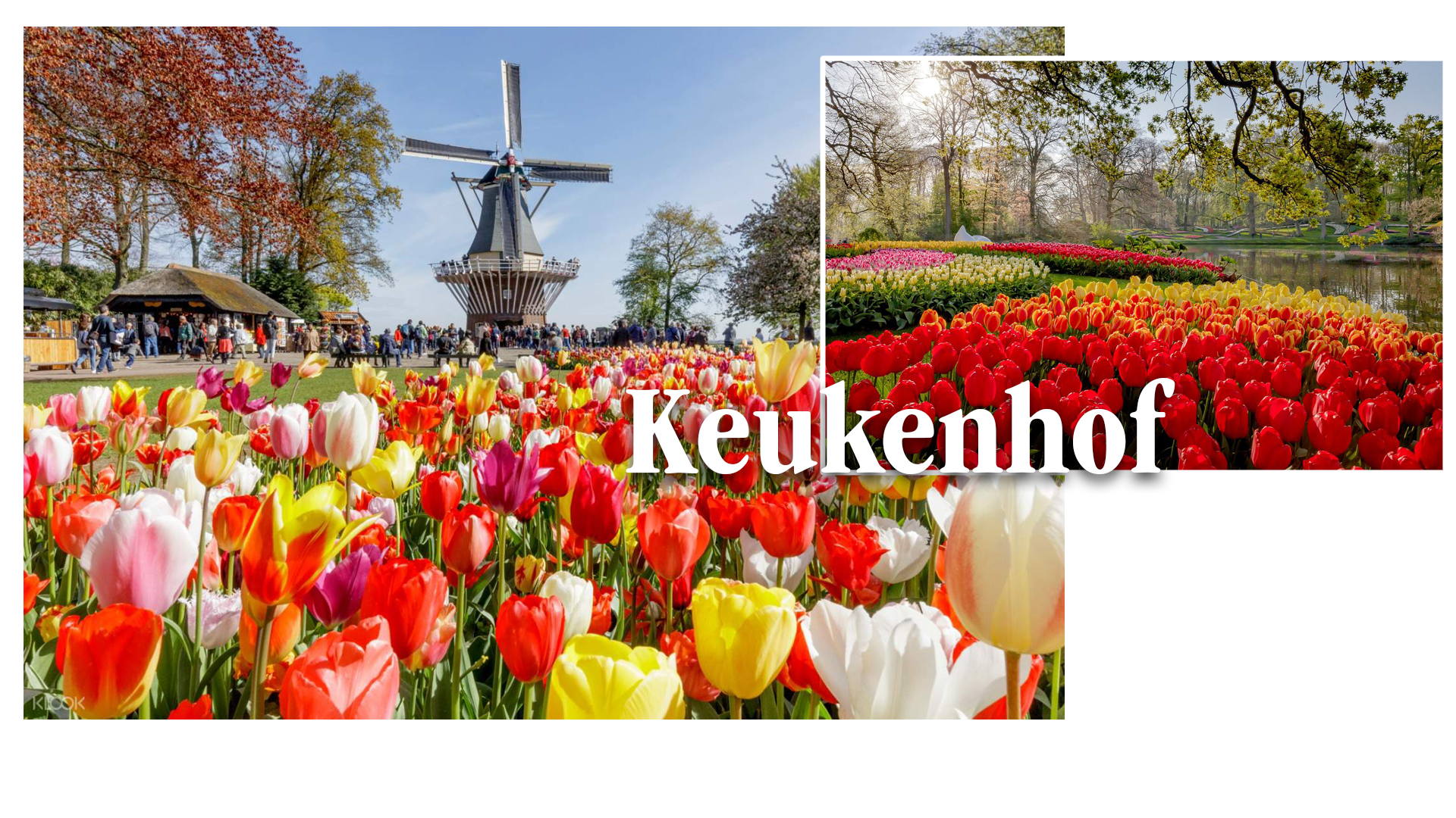 Điểm mặt những khu du lịch tuyệt vời nhất ở Hà Lan - 5