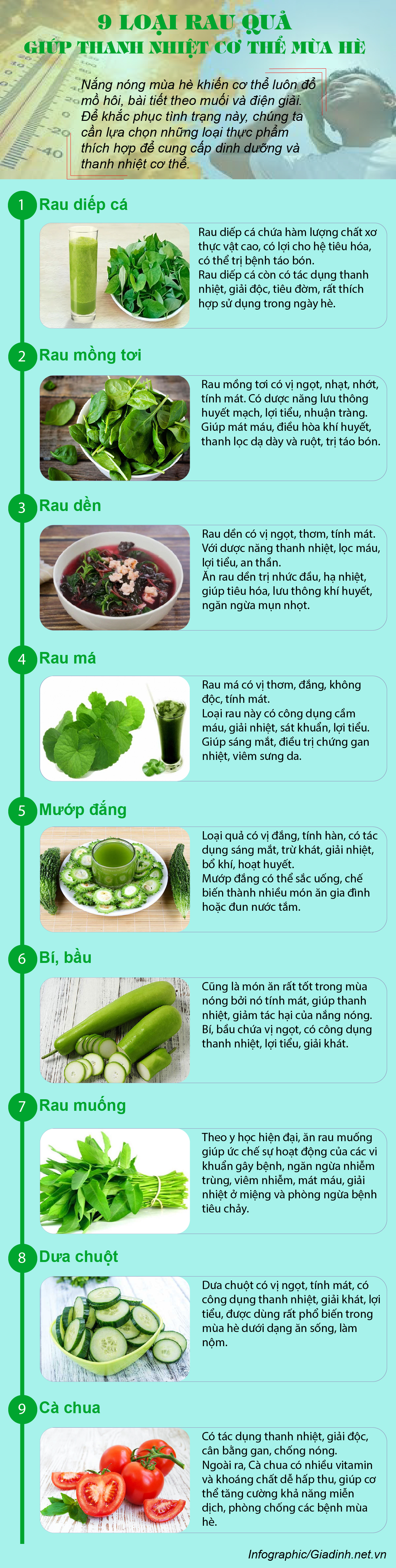 9 loại rau quả giúp thanh nhiệt cơ thể trong ngày hè cực kỳ hữu dụng - 1