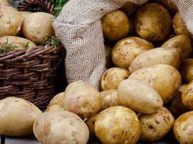Củ khoai tây, không chỉ chế biến món ăn ngon mà còn là vị thuốc chữa bệnh