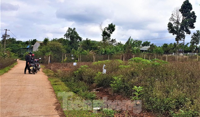 ‘Cò đất&#39; lập quy hoạch giả, tung tin thành lập phường gây xáo trộn vùng quê - 3