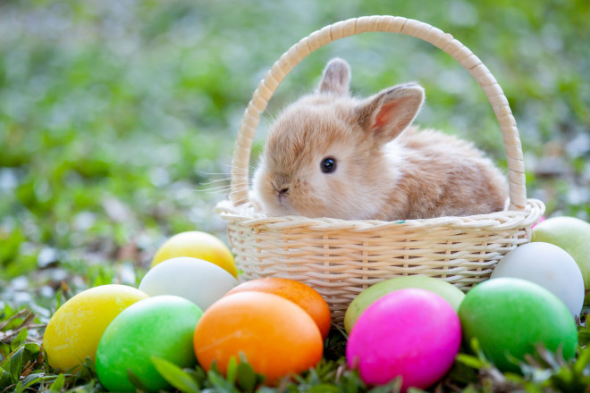 Lễ Phục sinh là ngày gì và tại sao thời gian luôn thay đổi mỗi năm 1650084860 1649844661 easter bunny origins 1581358909 width2121height1414 Lễ Phục sinh là ngày gì và tại sao thời gian luôn thay đổi mỗi năm