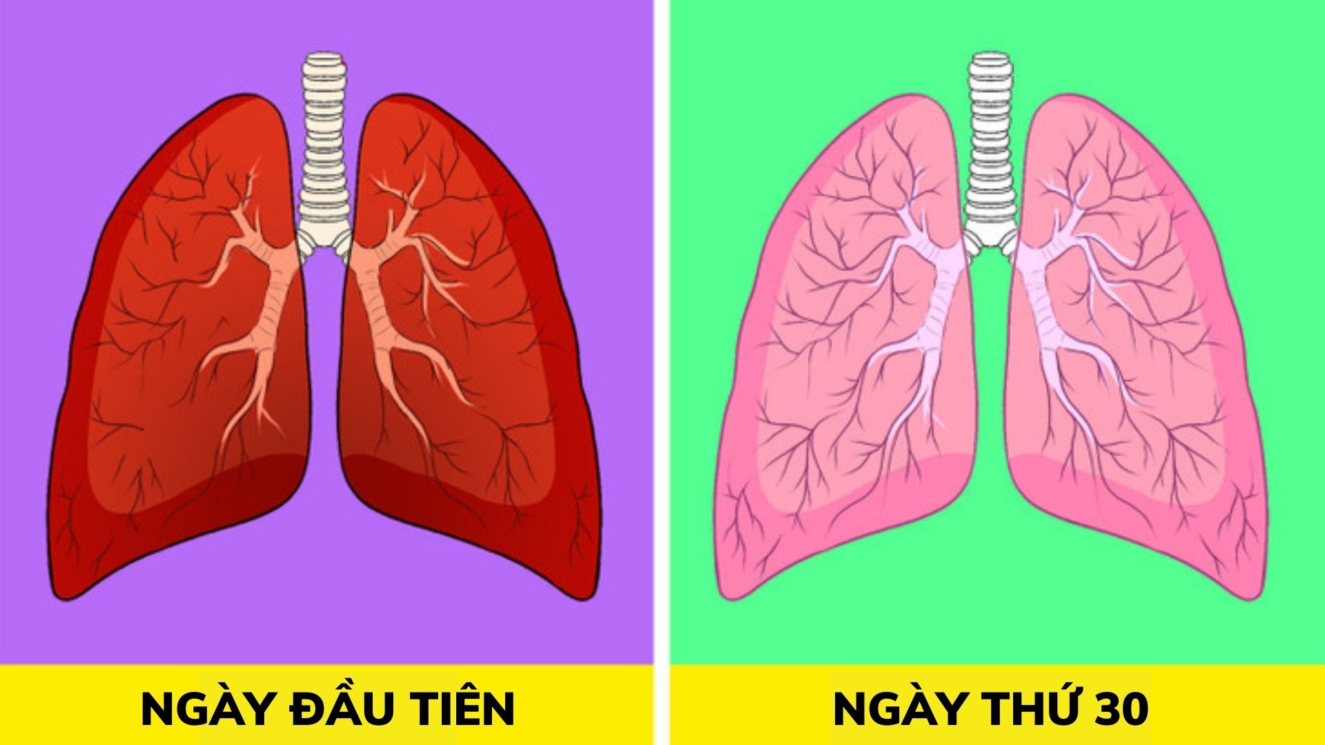 8 cách thải độc phổi tự nhiên, F0 khỏi bệnh cũng nên áp dụng để cải thiện sức khoẻ - 1