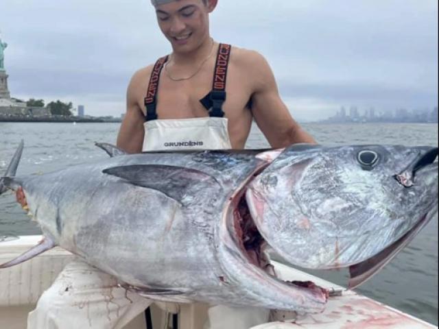 Mỹ: Ngư dân ngỡ ngàng câu được hàng loạt cá ngừ “quái vật” nặng 3 tạ