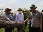 Bí thư, Chủ tịch tỉnh Đắk Lắk kiểm tra hiện trường vụ phá rừng gây xôn xao dư luận