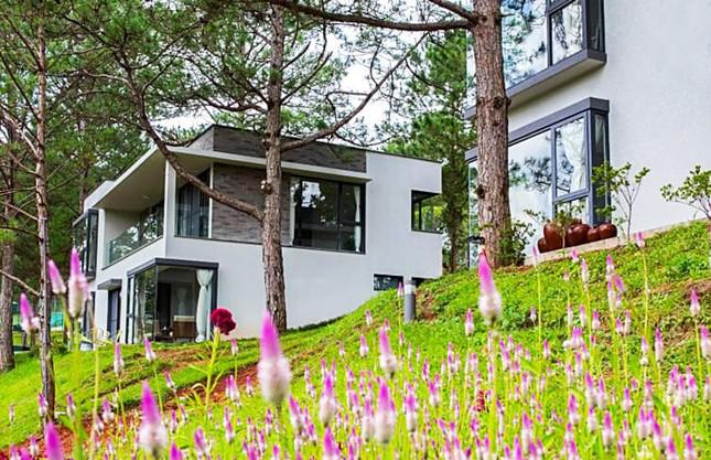 Nhiều thủ đoạn lừa đảo, chiếm đoạt tiền đặt cọc thuê khách sạn ở Đà Lạt - 1