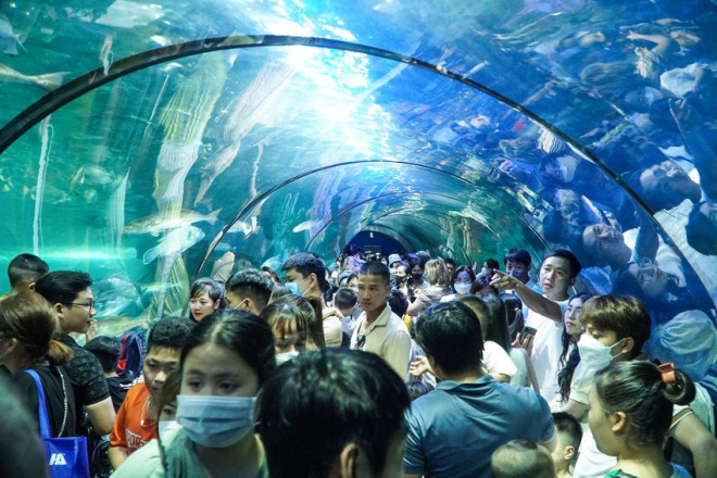 Hà Nội: Hàng vạn người tham quan thủy cung lớn nhất cả nước dịp nghỉ lễ - 2
