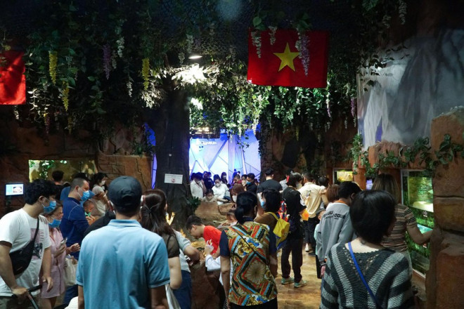 Hà Nội: Hàng vạn người tham quan thủy cung lớn nhất cả nước dịp nghỉ lễ - 9