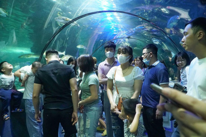 Hà Nội: Hàng vạn người tham quan thủy cung lớn nhất cả nước dịp nghỉ lễ - 7