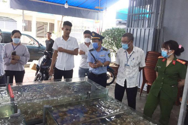 Hóa đơn hải sản 42,5 triệu đồng ở Nha Trang: Thực khách sẵn sàng làm &#34;ra ngô ra khoai&#34; - 2